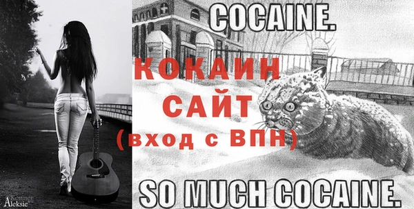 стаф Алексин