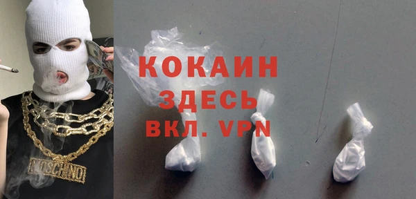 стаф Алексин