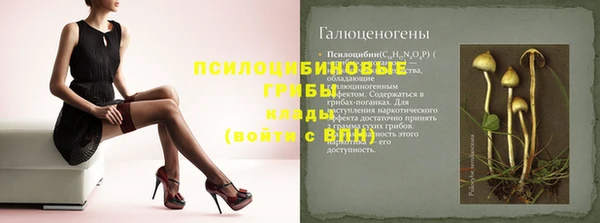 стаф Алексин