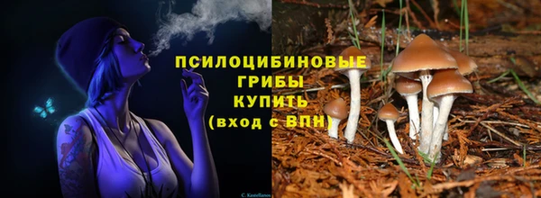 твердый Алзамай
