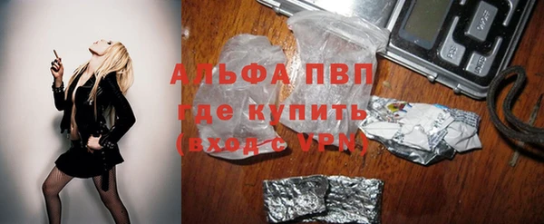 стаф Алексин