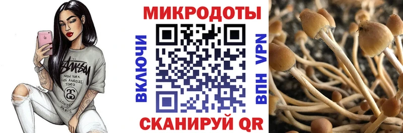 Галлюциногенные грибы GOLDEN TEACHER  где продают наркотики  гидра ссылка  Льгов 